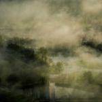 Gerald Waters Profile Picture