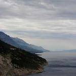 Filiberto Kshlerin Profile Picture