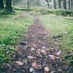 Mabelle Carter Profile Picture