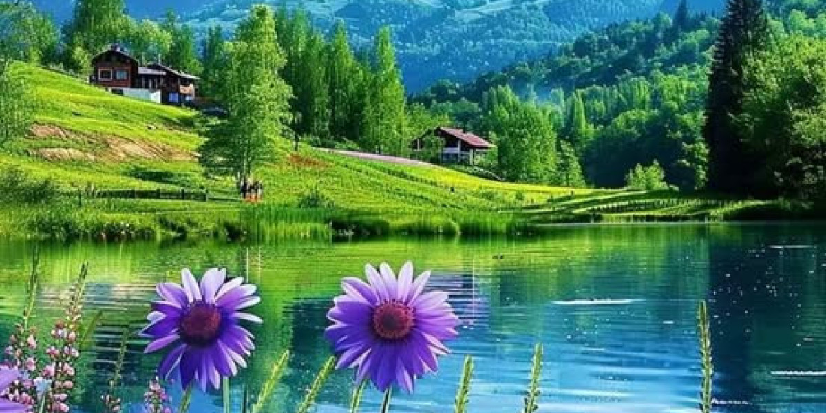 PREVIEW: Knights Concentrate in direction of Jump Back again vs. Bearcats