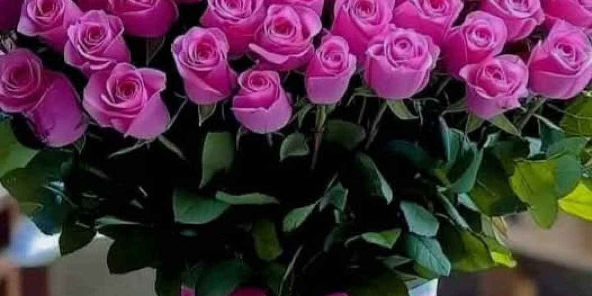 Recreation Preview: Islanders vs Jets