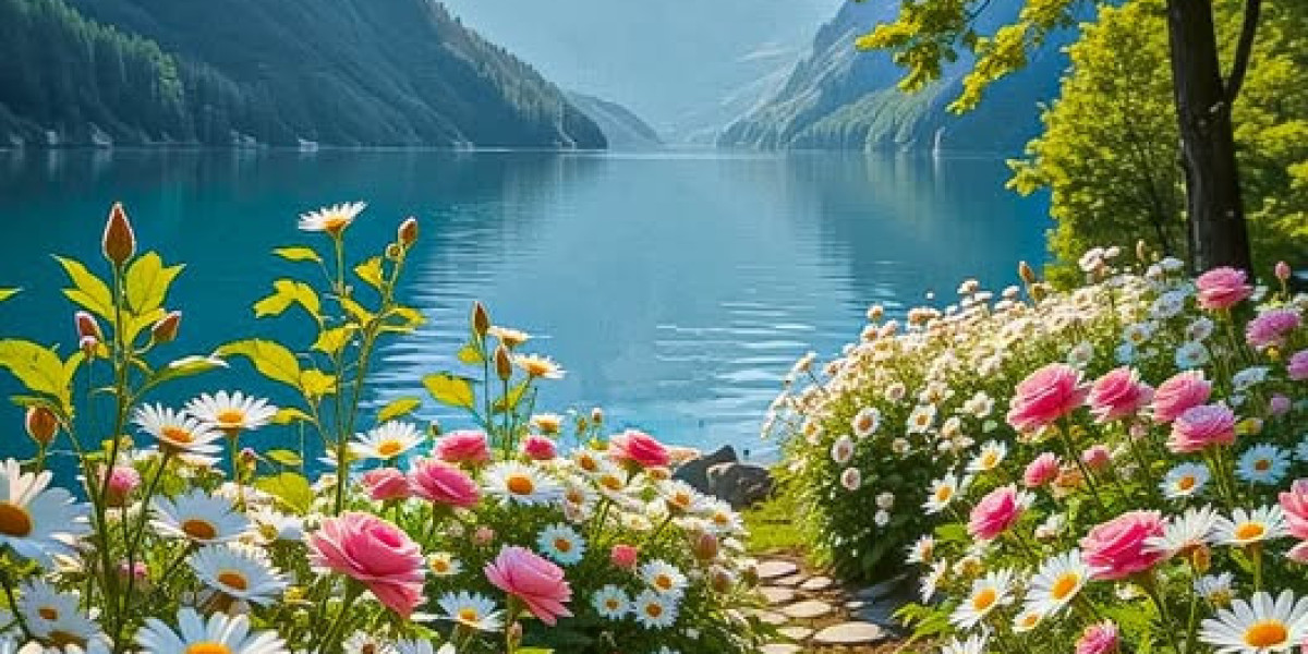 Bulls Josh Giddey Needed towards Force for 8-Determine Agreement Extension