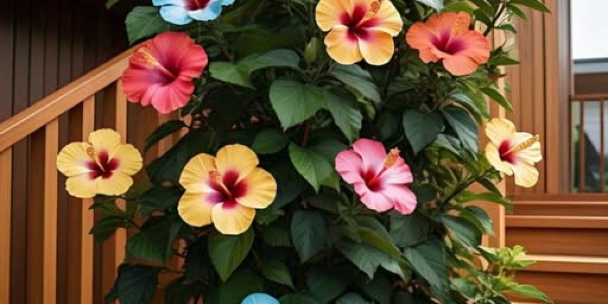 Buffalo Costs announce few of roster moves forward of 2025 NFL Draft