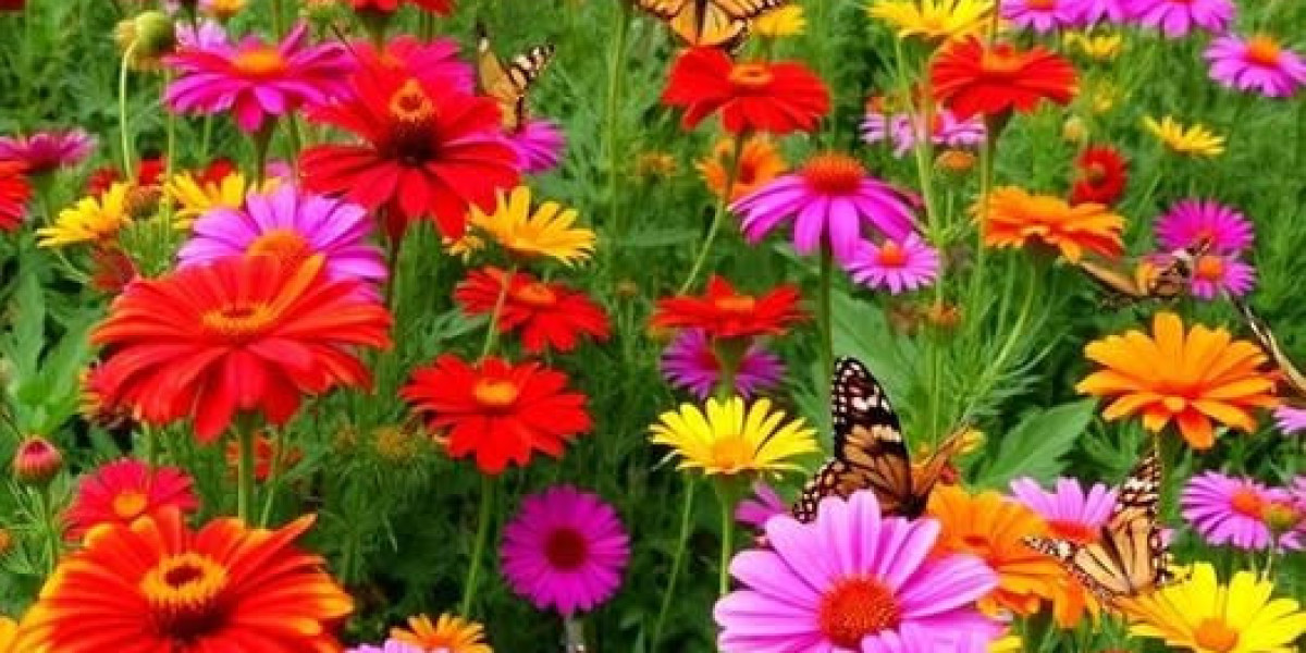 Nick Saban Sends Fascinating Information upon QB Area: Ended up Not Frustrated in just Anyones Breakthroughs