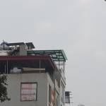 Nghe Kinh  Profile Picture