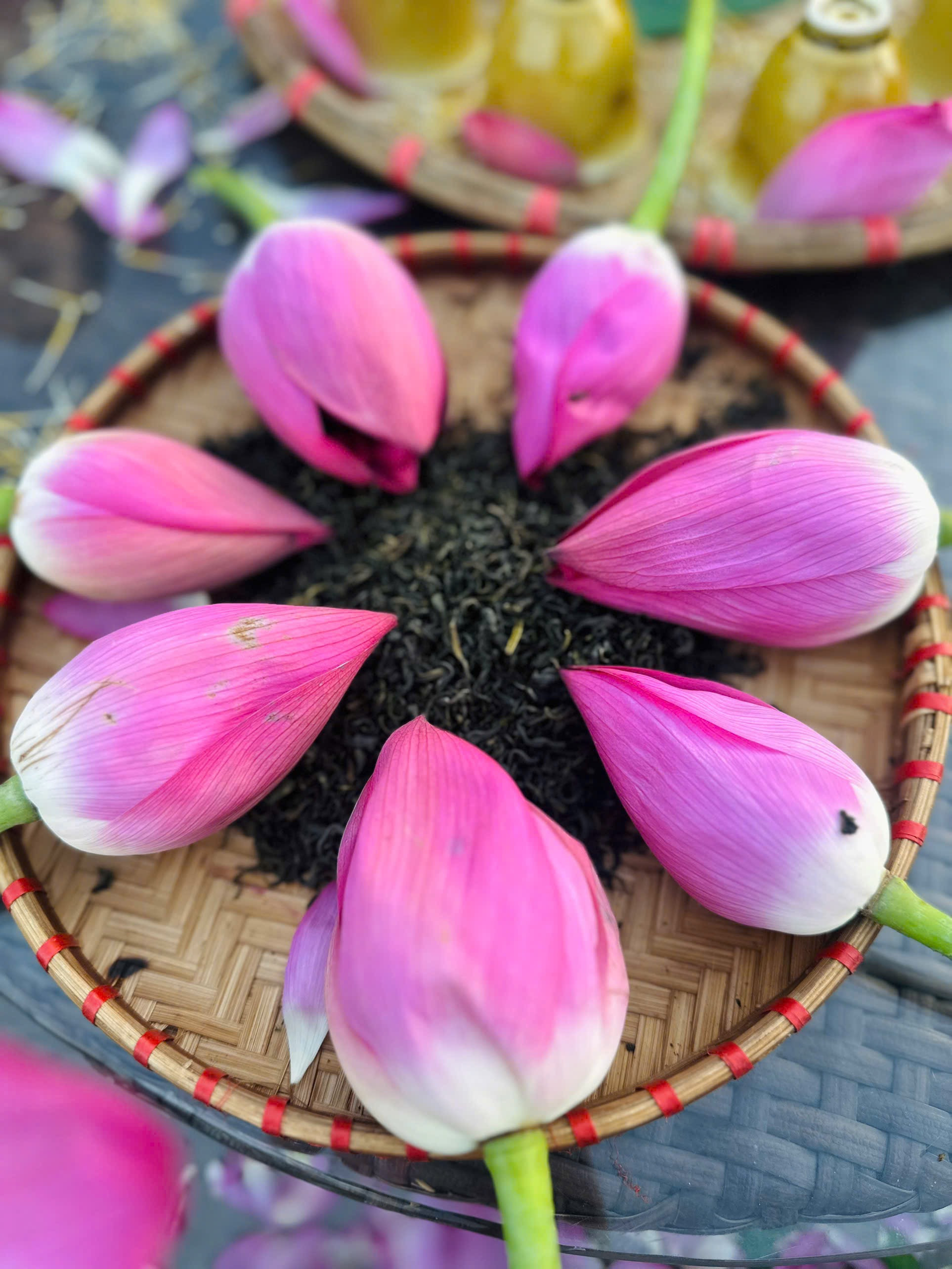 Trà Sạch