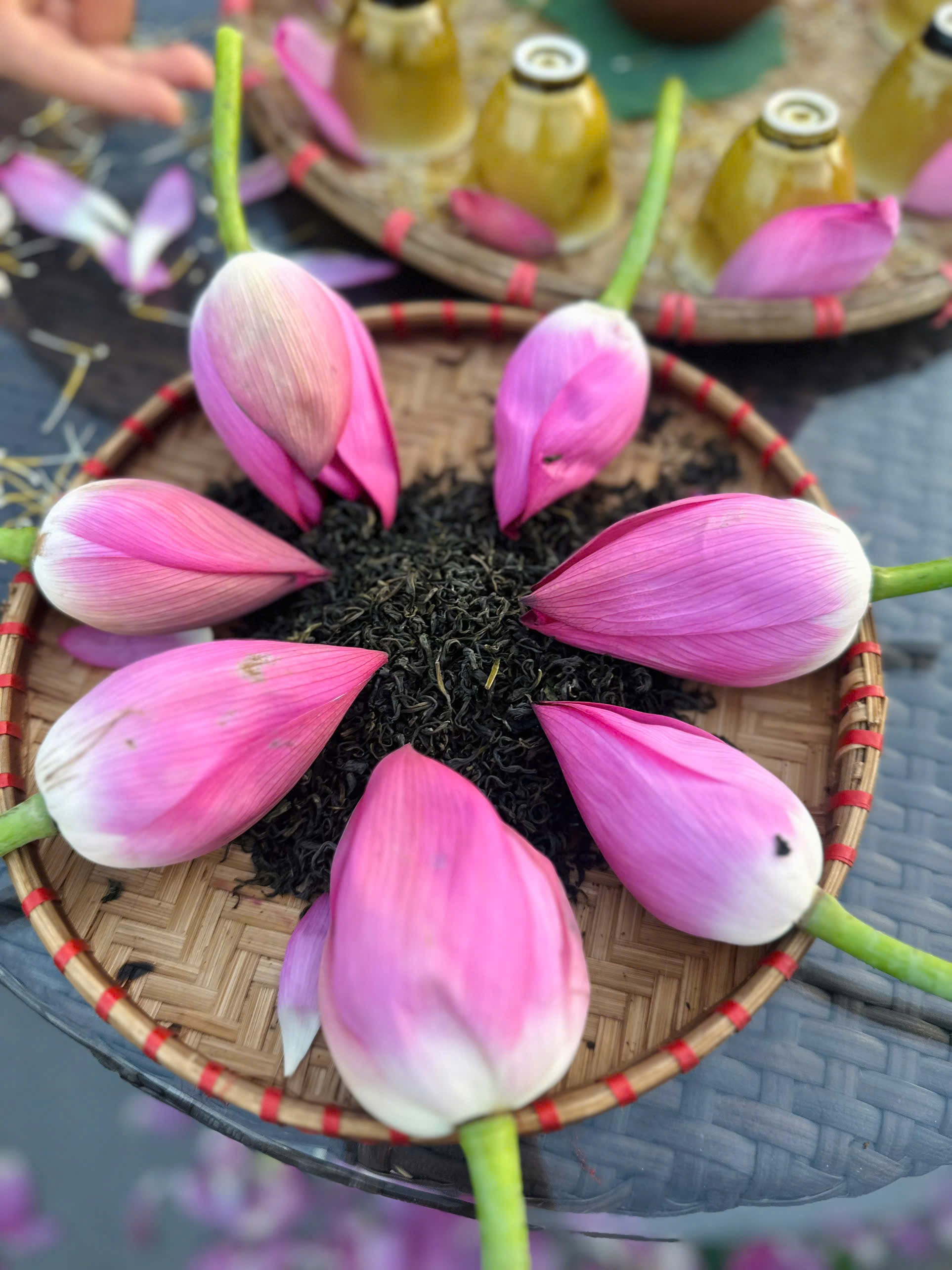 Trà Sạch