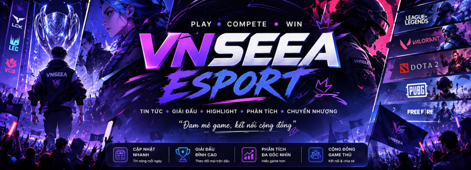 VNSEEA Esports Cover Image