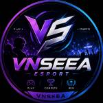 VNSEEA Esports profile picture